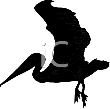 Bird Clipart