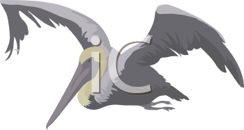 Bird Clipart