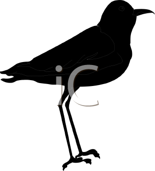 Bird Clipart