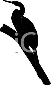 Bird Clipart