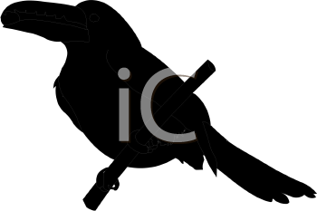 Bird Clipart