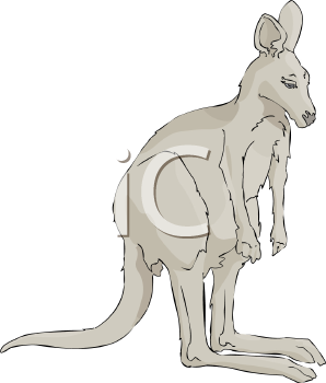 Marsupial Clipart