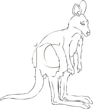 Marsupial Clipart