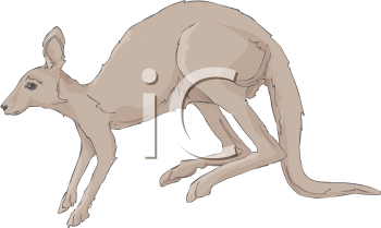 Marsupial Clipart