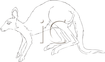 Marsupial Clipart