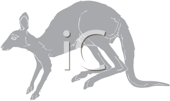 Marsupial Clipart