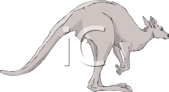 Marsupial Clipart