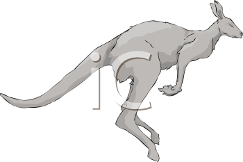 Marsupial Clipart