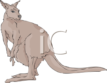 Marsupial Clipart