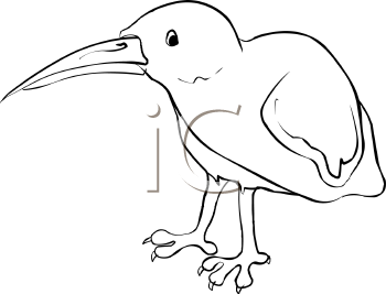 Bird Clipart