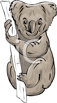 Marsupial Clipart