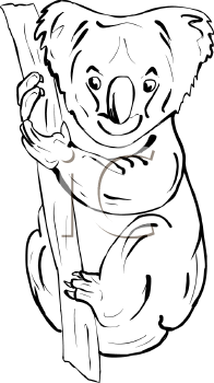 Marsupial Clipart