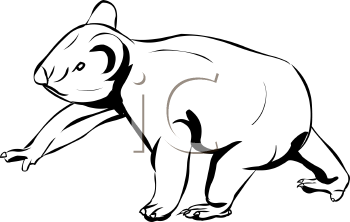 Marsupial Clipart