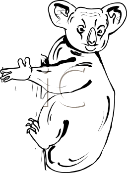 Marsupial Clipart