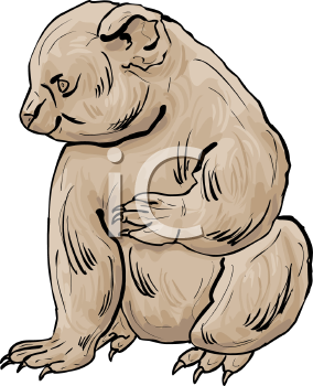 Marsupial Clipart