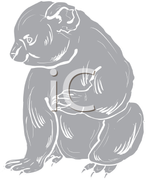 Marsupial Clipart