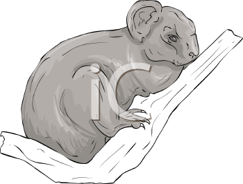 Marsupial Clipart