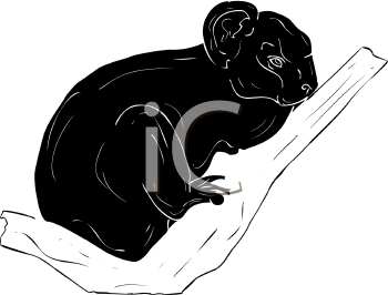 Marsupial Clipart