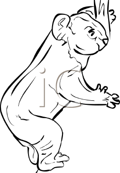 Marsupial Clipart