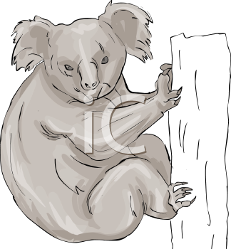 Marsupial Clipart