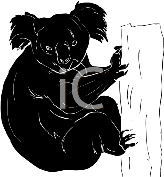 Marsupial Clipart