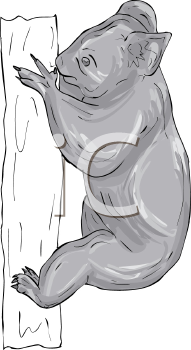 Marsupial Clipart