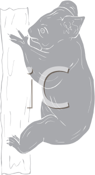 Marsupial Clipart