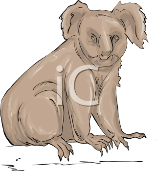 Marsupial Clipart