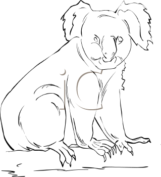 Marsupial Clipart