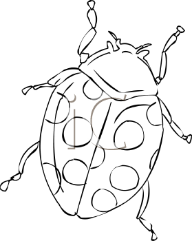 Beetle Clipart