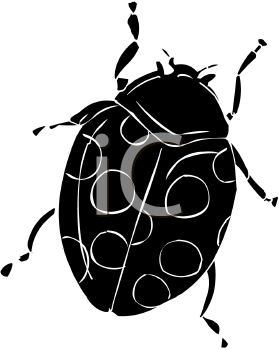 Insect Clipart