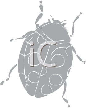 Insect Clipart