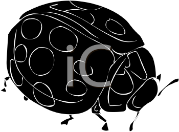 Beetle Clipart