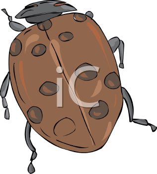 Insect Clipart