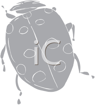 Insect Clipart