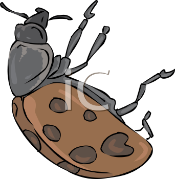 Insect Clipart