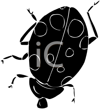 Beetle Clipart