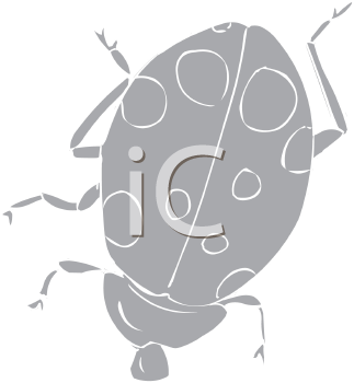 Insect Clipart