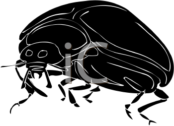 Insect Clipart