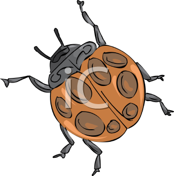 Beetle Clipart