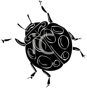 Insect Clipart