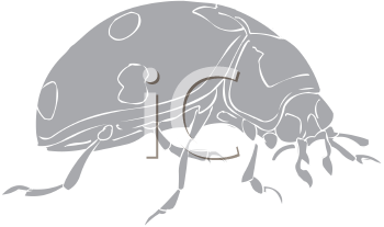 Beetle Clipart