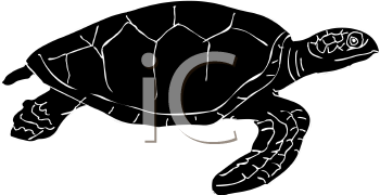 Reptile Clipart