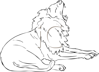 Big Cat Clipart