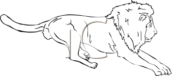 Big Cat Clipart