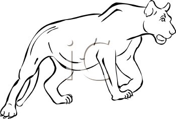 Big Cat Clipart