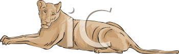 Big Cat Clipart