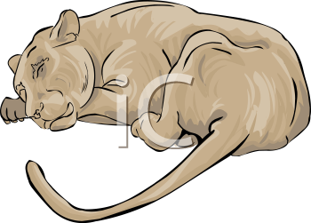 Big Cat Clipart