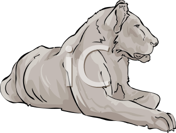 Big Cat Clipart