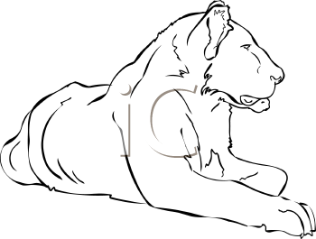 Big Cat Clipart